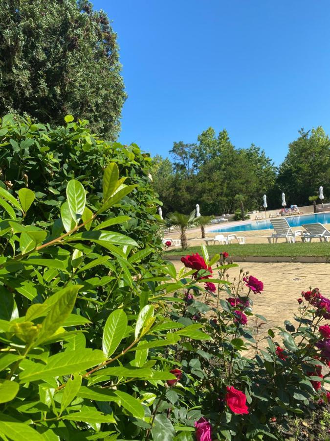 Kamenec Hotel Νεσέμπαρ Εξωτερικό φωτογραφία